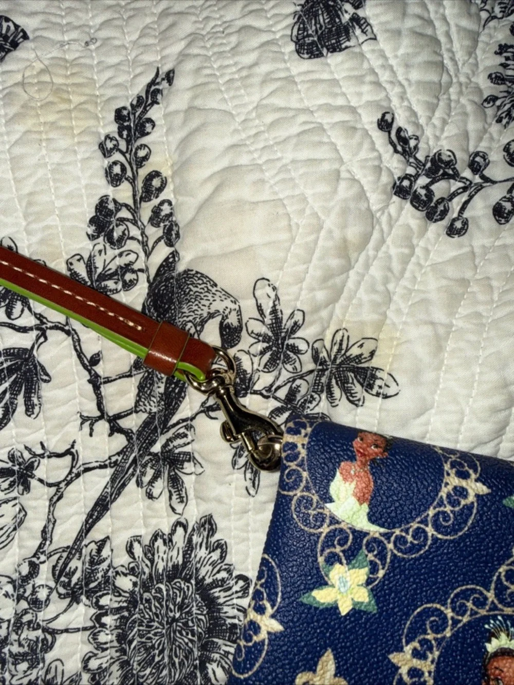 Tiana Disney Dooney and Bourke clutch or crossbody purse - Picture 5 of 14